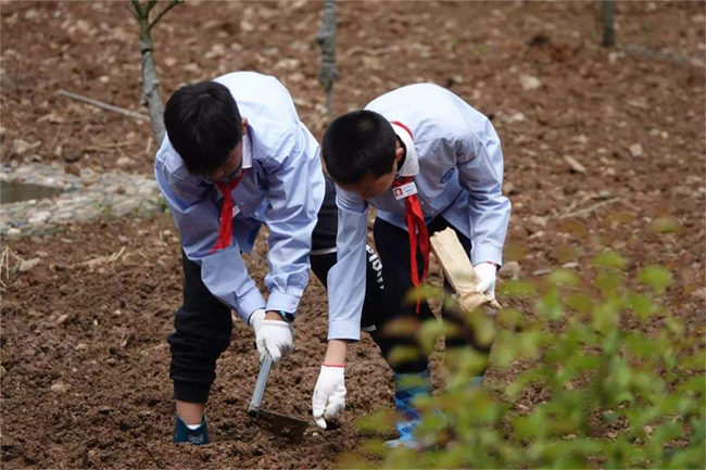 五一劳动节,向平凡而又伟大的劳动者们致敬!插图 五一劳动节,向平凡而又伟大的劳动者们致敬!插图