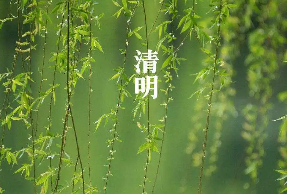 清明节 – 微雨落清明，​思念最绵长插图