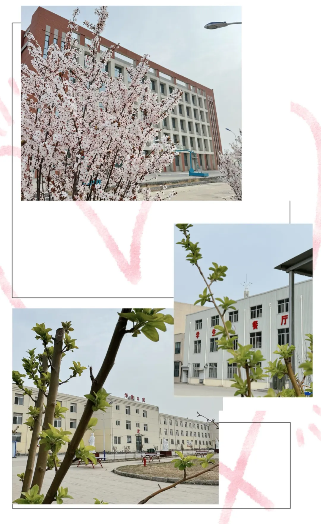 食宿无忧暖相伴 青春逐梦在校园——解锁菏泽市交通高级技工学校校园舒适生活插图4 食宿无忧暖相伴 青春逐梦在校园——解锁菏泽市交通高级技工学校校园舒适生活插图4